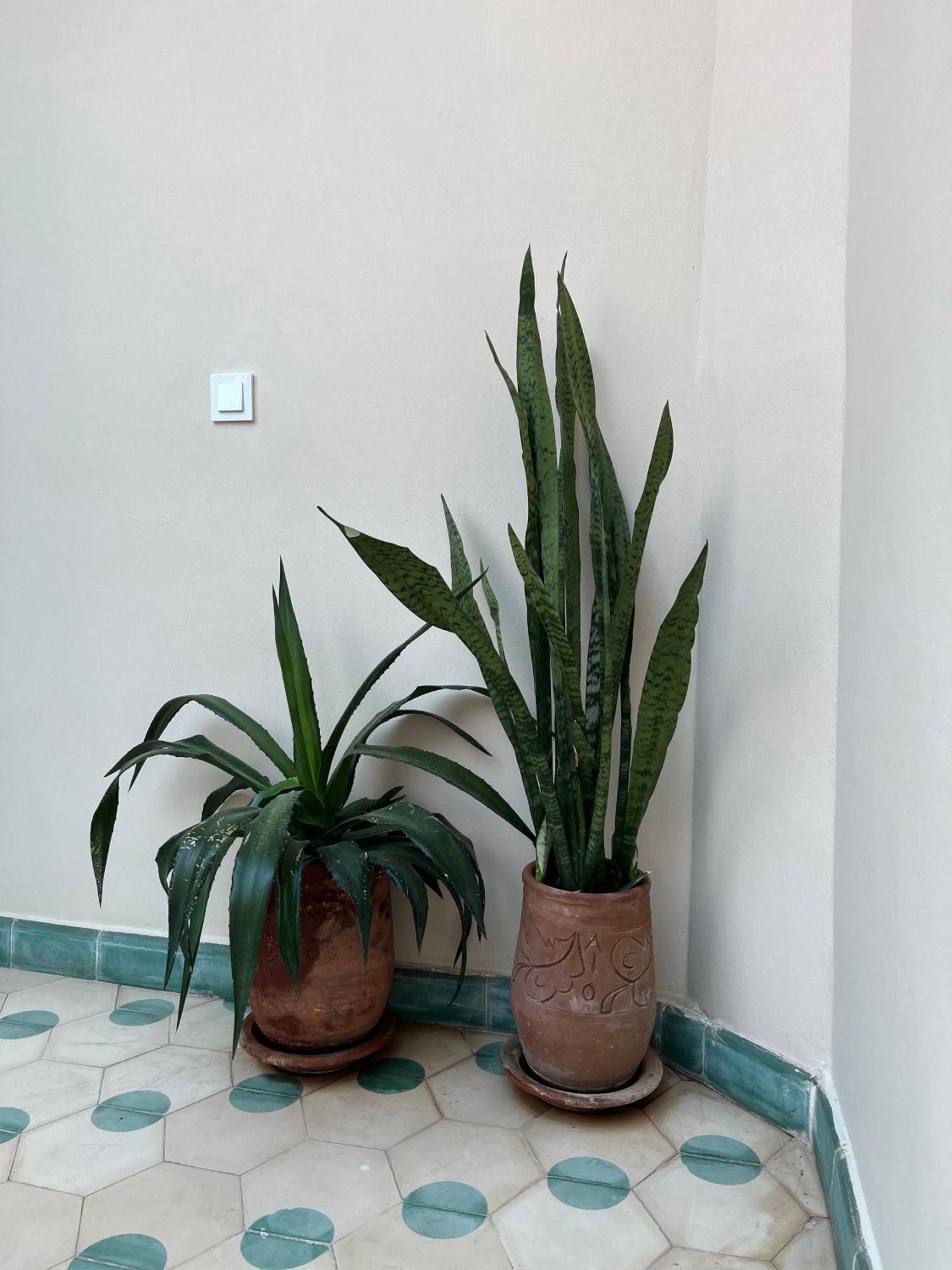 Riad Imndi Marrakesh Eksteriør billede